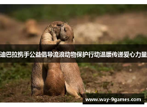 迪巴拉携手公益倡导流浪动物保护行动温暖传递爱心力量 迪巴拉携手公益倡导流浪动物保护行动温暖传递爱心力量