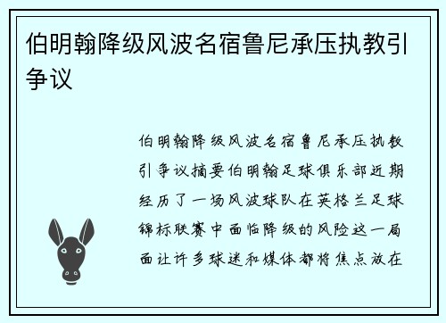 伯明翰降级风波名宿鲁尼承压执教引争议 伯明翰降级风波名宿鲁尼承压执教引争议